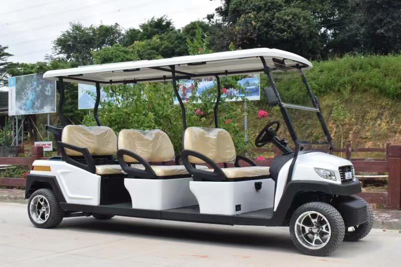 6座午夜影院网站高爾夫車M1S6