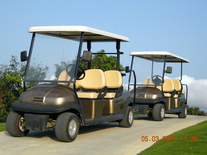 倒排6座午夜影院网站高爾夫球觀光車